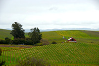 Artesa Vineyards in Napa Valley