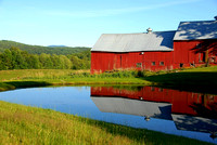 Jenn Farm Reflection