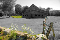 Vermont Barn with Daisies