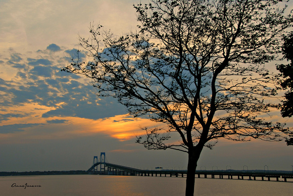 Sunset on the Newport Bridge