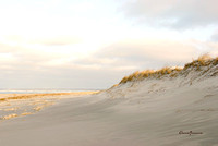 Dunes at Cranes Beach