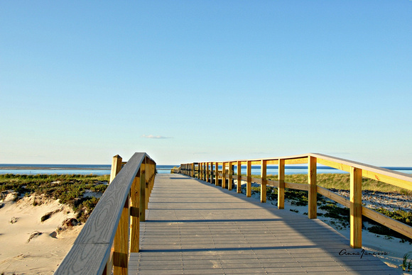 Board Walk to Cranes Beach_1